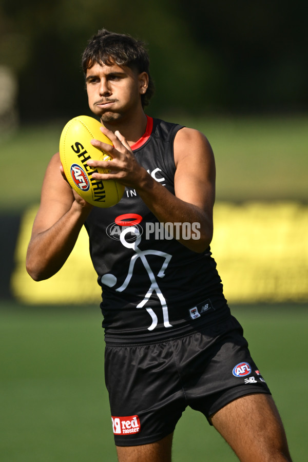 AFL 2025 Training - St Kilda 250325 - A-58065691