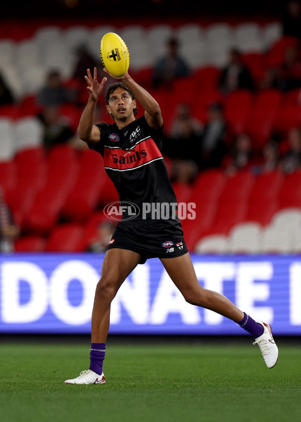 AFL 2025 Round 03 - St Kilda v Richmond - A-58185470