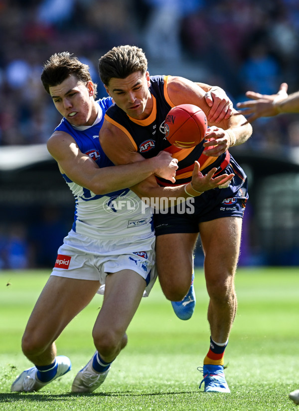 AFL 2025 Round 03 - Adelaide v North Melbourne - A-58223623
