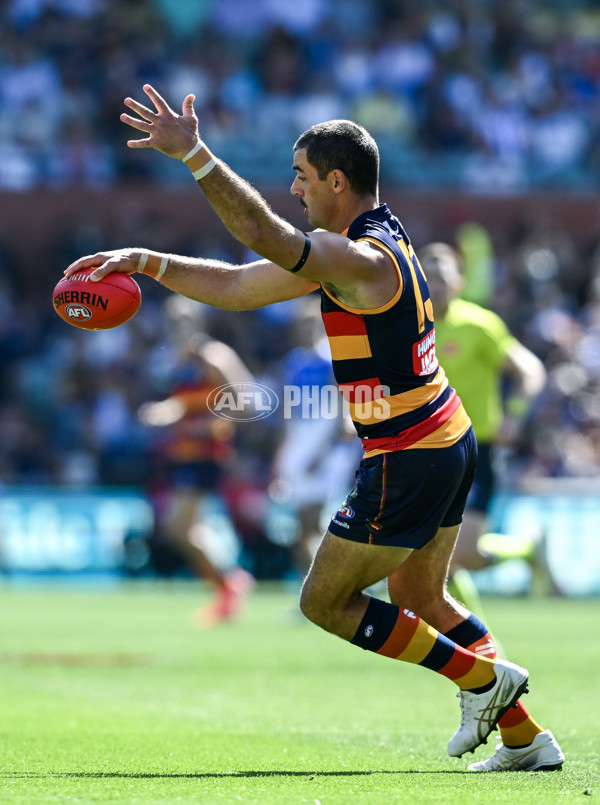 AFL 2025 Round 03 - Adelaide v North Melbourne - A-58223628