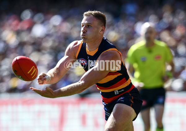 AFL 2025 Round 03 - Adelaide v North Melbourne - A-58223648