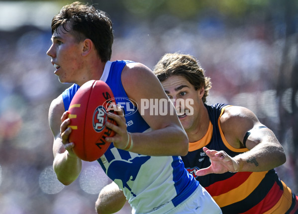AFL 2025 Round 03 - Adelaide v North Melbourne - A-58224578