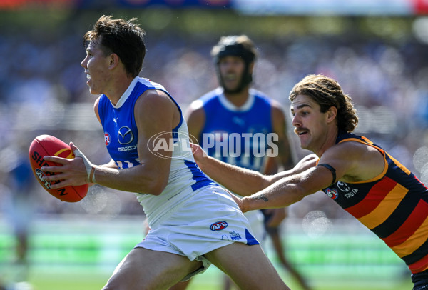 AFL 2025 Round 03 - Adelaide v North Melbourne - A-58224579