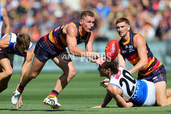 AFL 2025 Round 03 - Adelaide v North Melbourne - A-58224580