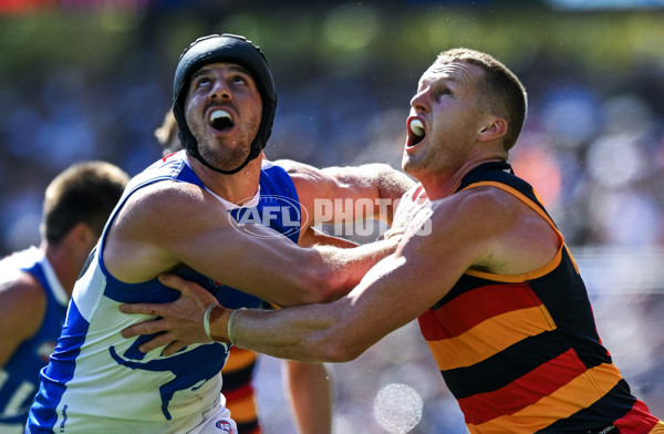 AFL 2025 Round 03 - Adelaide v North Melbourne - A-58226430