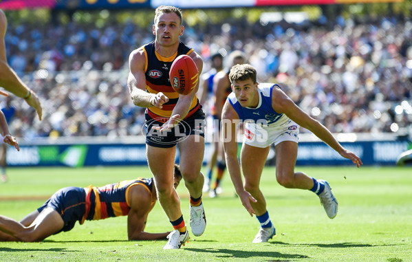 AFL 2025 Round 03 - Adelaide v North Melbourne - A-58226972