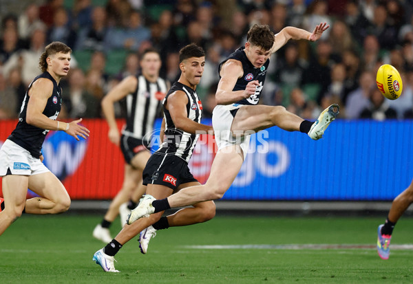 AFL 2025 Round 04 - Collingwood v Carlton - A-58340295