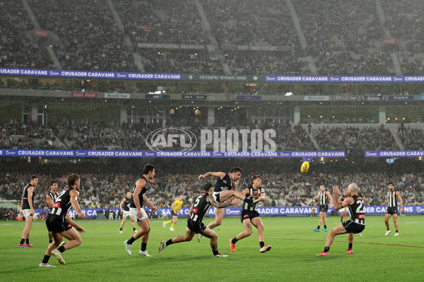AFL 2025 Round 04 - Collingwood v Carlton - A-58343399