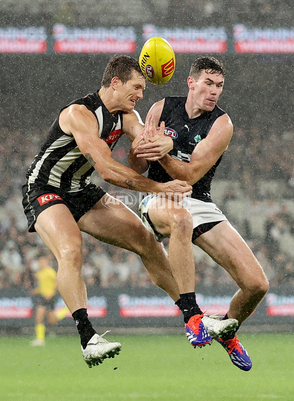 AFL 2025 Round 04 - Collingwood v Carlton - A-58343402