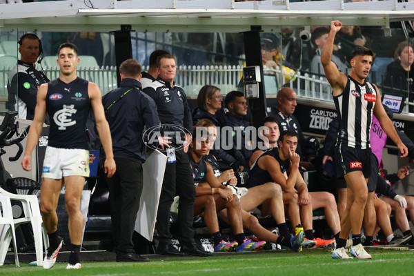 AFL 2025 Round 04 - Collingwood v Carlton - A-58343455