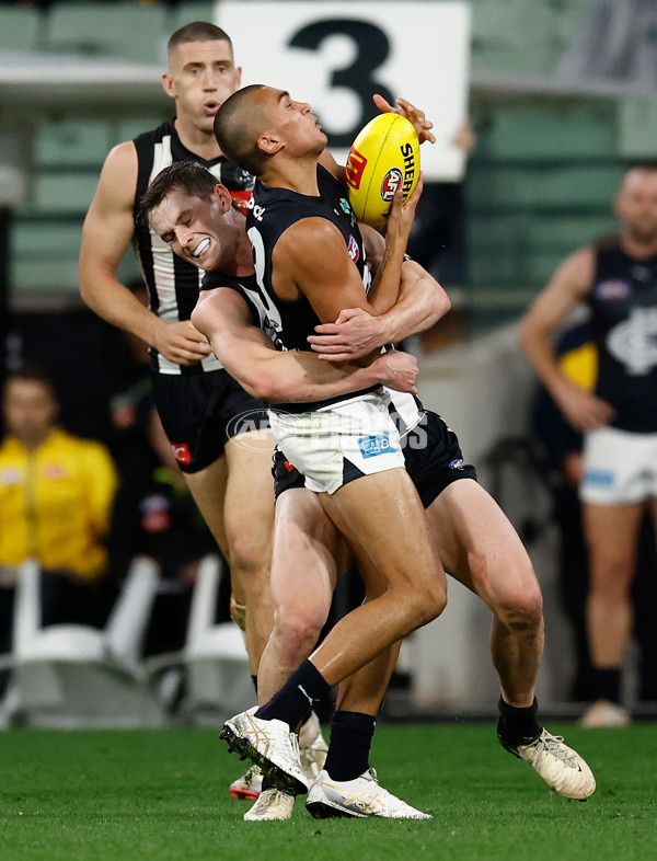 AFL 2025 Round 04 - Collingwood v Carlton - A-58348251