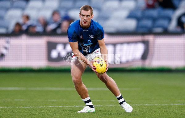 AFL 2025 Round 04 - Geelong v Melbourne - A-58351553