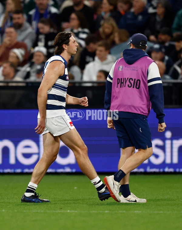 AFL 2025 Round 04 - Geelong v Melbourne - A-58353231