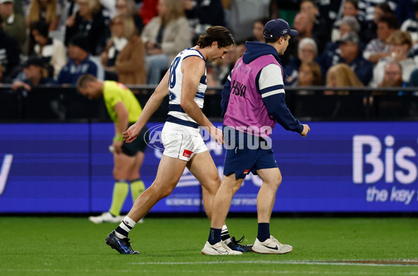 AFL 2025 Round 04 - Geelong v Melbourne - A-58353238