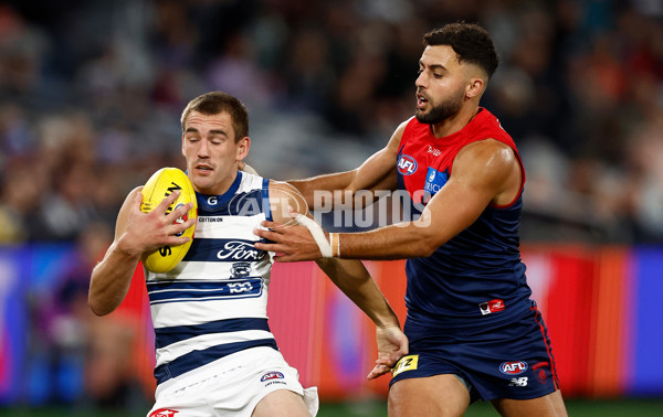 AFL 2025 Round 04 - Geelong v Melbourne - A-58354374