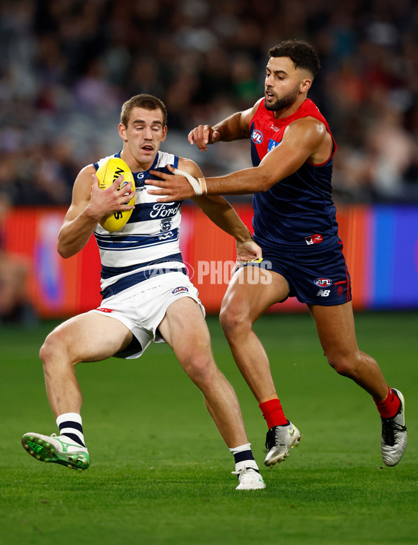 AFL 2025 Round 04 - Geelong v Melbourne - A-58354375