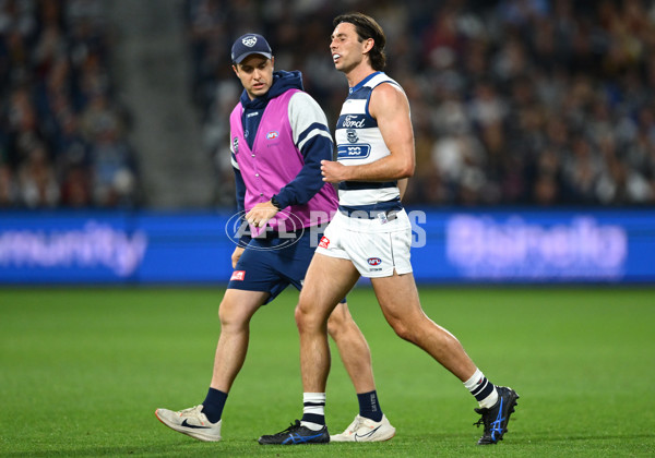 AFL 2025 Round 04 - Geelong v Melbourne - A-58354454
