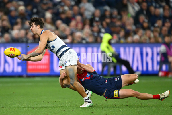 AFL 2025 Round 04 - Geelong v Melbourne - A-58357418