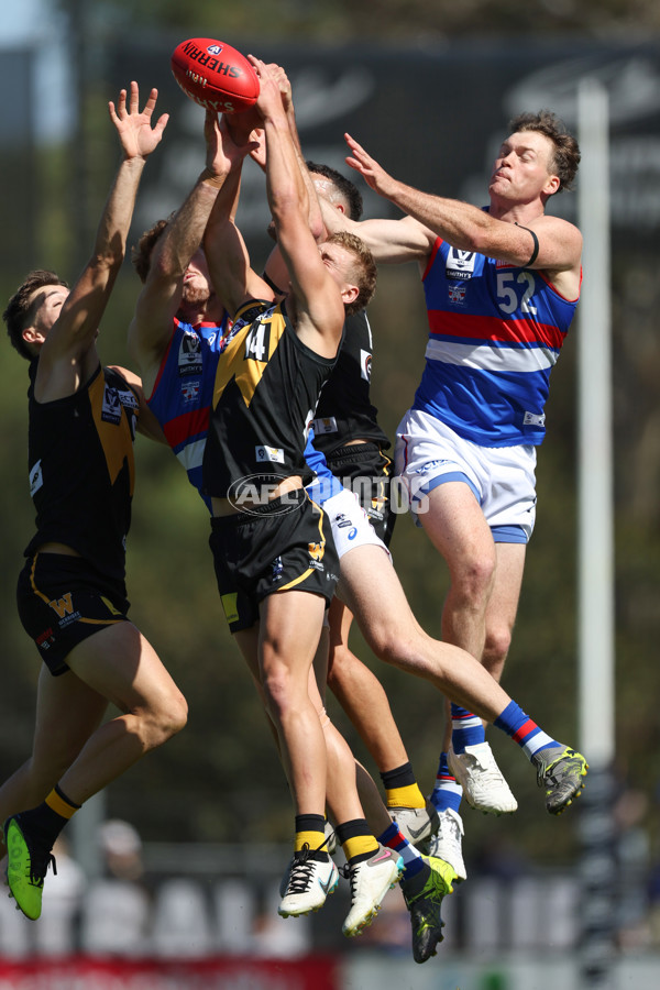 VFL 2025 Round 03 - Werribbee v Footscray - A-58378763
