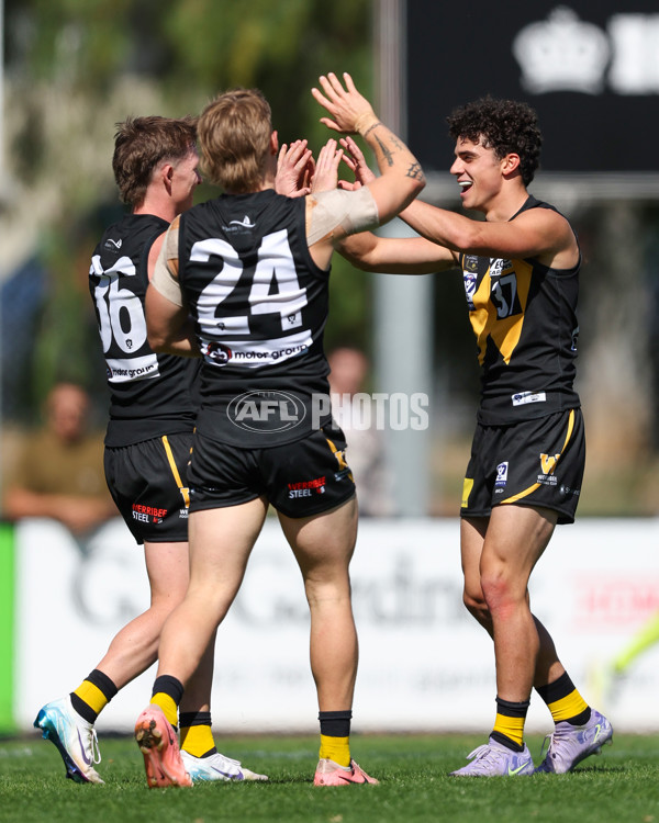VFL 2025 Round 03 - Werribbee v Footscray - A-58386257