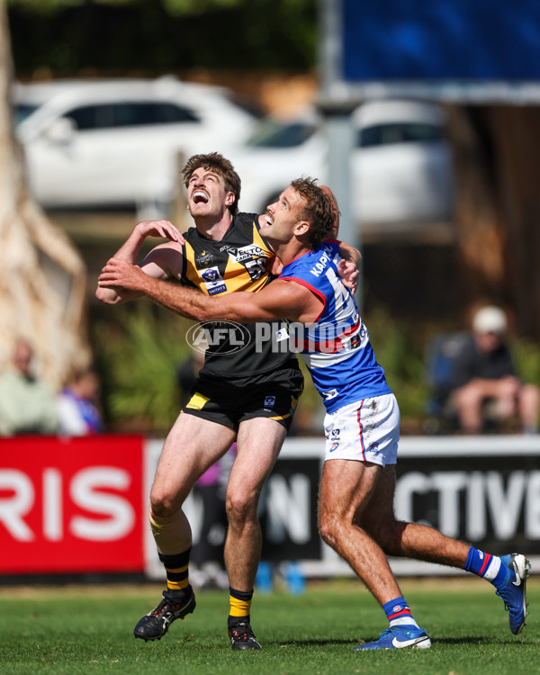 VFL 2025 Round 03 - Werribbee v Footscray - A-58392245