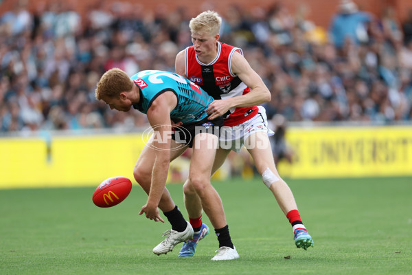 AFL 2025 Round 04 - Port Adelaide v St Kilda - A-58408174