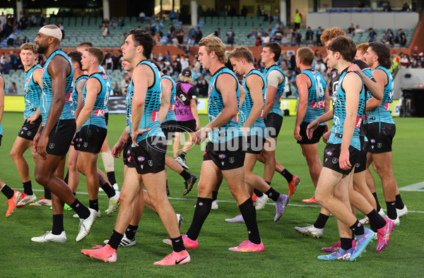 AFL 2025 Round 04 - Port Adelaide v St Kilda - A-58421949
