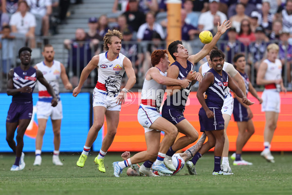 AFL 2025 Round 04 - Fremantle v Western Bulldogs - A-58431733