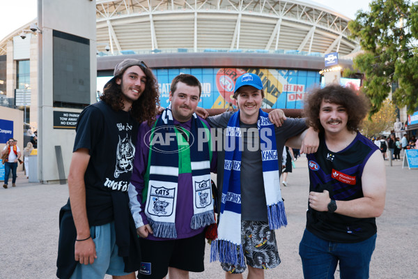 AFL 2025 Round 05 - Adelaide v Geelong - A-58485749