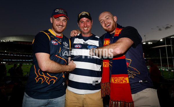 AFL 2025 Round 05 - Adelaide v Geelong - A-58485756