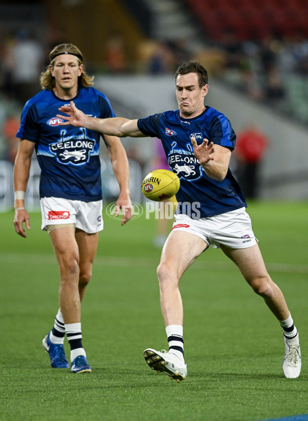 AFL 2025 Round 05 - Adelaide v Geelong - A-58485763