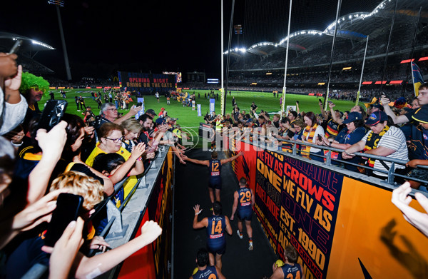 AFL 2025 Round 05 - Adelaide v Geelong - A-58490863