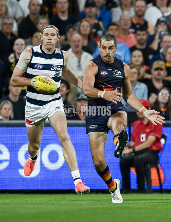 AFL 2025 Round 05 - Adelaide v Geelong - A-58490867