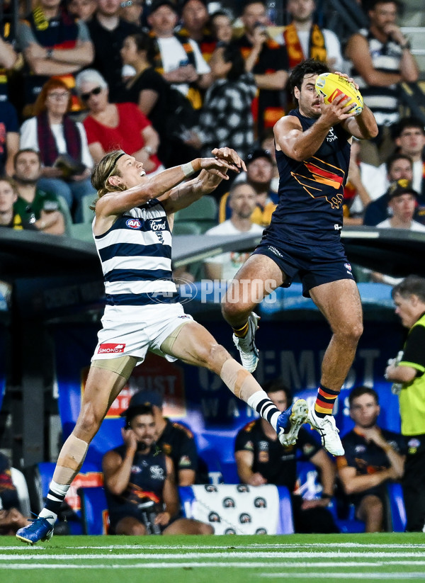 AFL 2025 Round 05 - Adelaide v Geelong - A-58490888