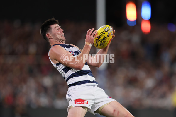 AFL 2025 Round 05 - Adelaide v Geelong - A-58490895