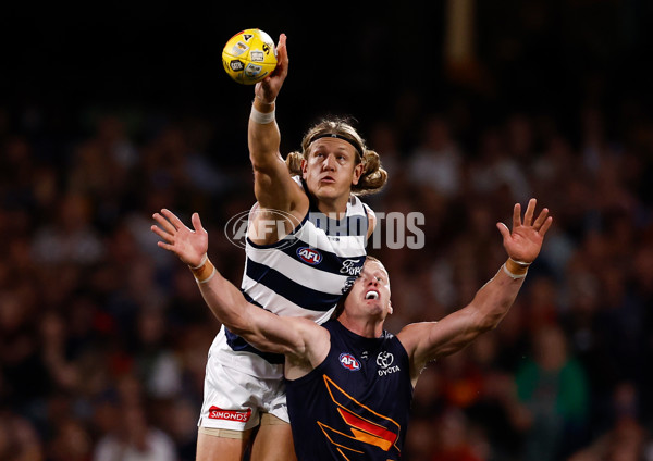 AFL 2025 Round 05 - Adelaide v Geelong - A-58497690