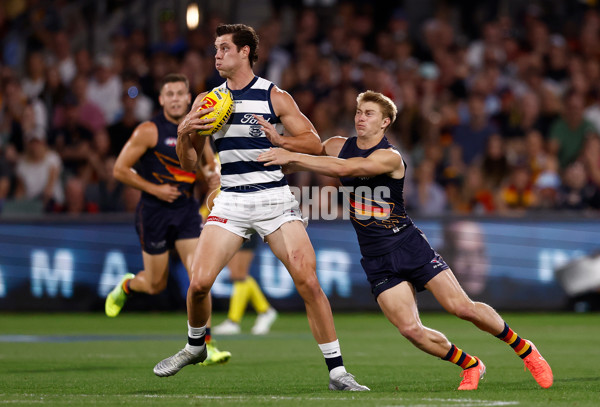 AFL 2025 Round 05 - Adelaide v Geelong - A-58497703