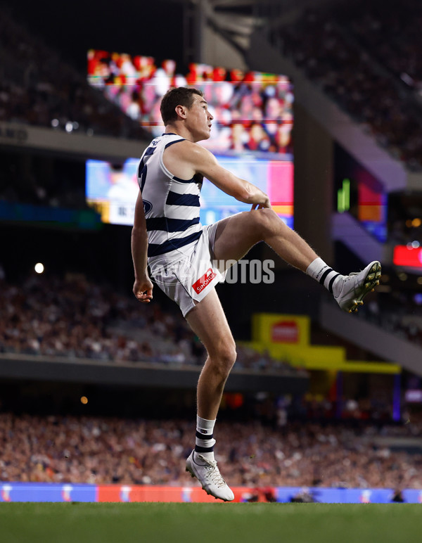 AFL 2025 Round 05 - Adelaide v Geelong - A-58497704