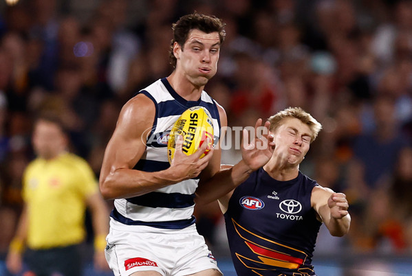 AFL 2025 Round 05 - Adelaide v Geelong - A-58497715