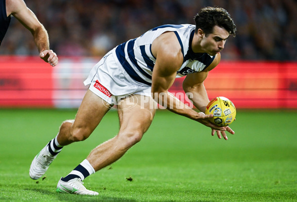 AFL 2025 Round 05 - Adelaide v Geelong - A-58497731