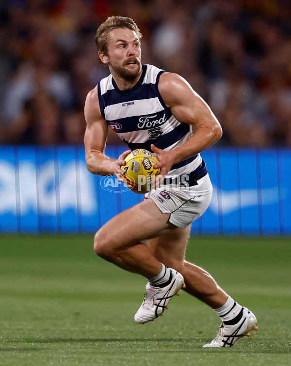 AFL 2025 Round 05 - Adelaide v Geelong - A-58497745