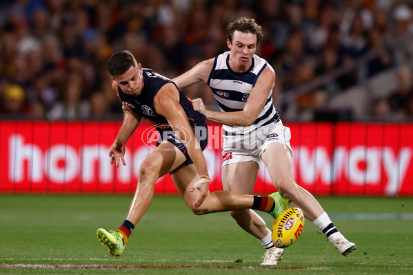 AFL 2025 Round 05 - Adelaide v Geelong - A-58497746