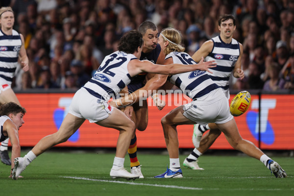 AFL 2025 Round 05 - Adelaide v Geelong - A-58497755