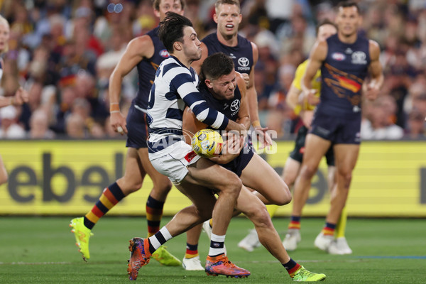 AFL 2025 Round 05 - Adelaide v Geelong - A-58497774
