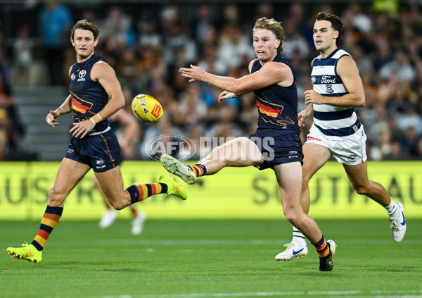 AFL 2025 Round 05 - Adelaide v Geelong - A-58497781