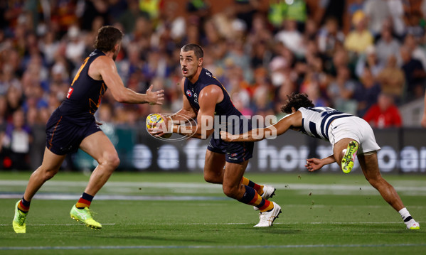 AFL 2025 Round 05 - Adelaide v Geelong - A-58497783