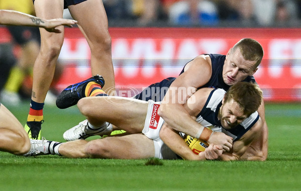 AFL 2025 Round 05 - Adelaide v Geelong - A-58497785