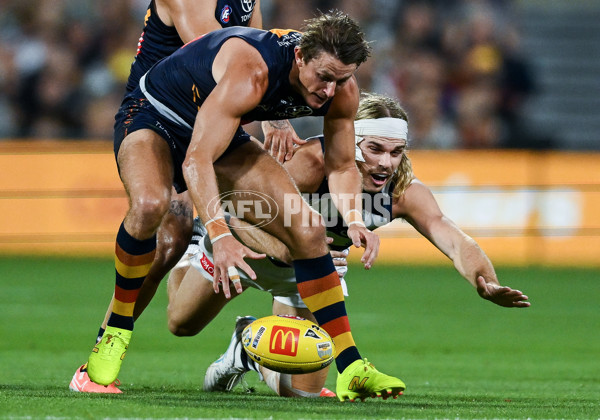 AFL 2025 Round 05 - Adelaide v Geelong - A-58499528