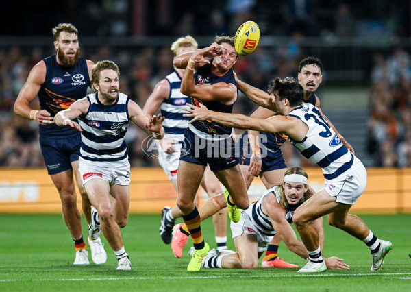 AFL 2025 Round 05 - Adelaide v Geelong - A-58499529
