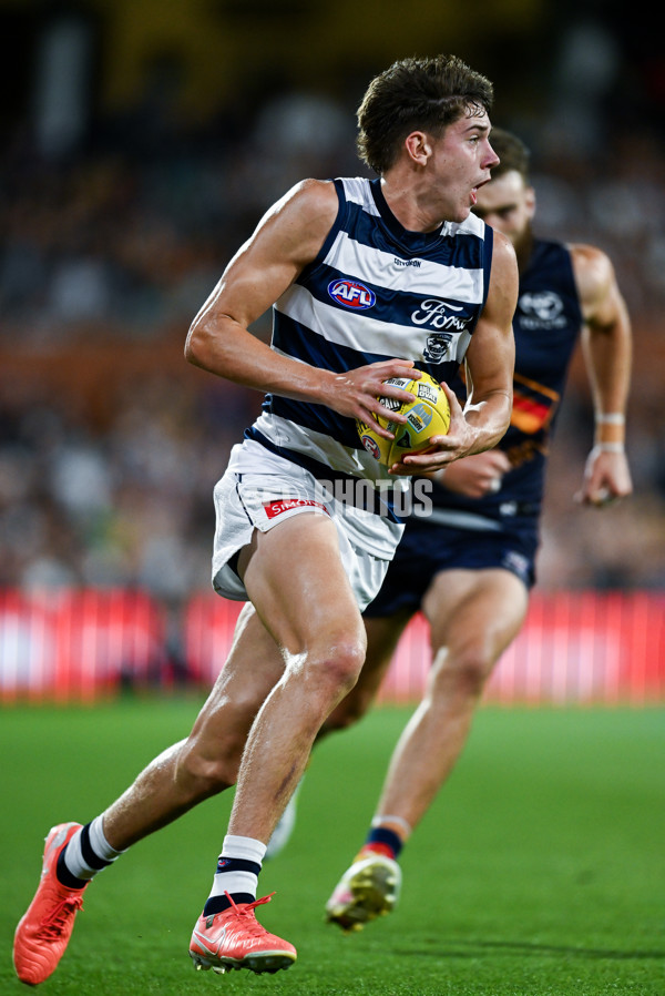 AFL 2025 Round 05 - Adelaide v Geelong - A-58499541